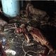 Image for article titled Japan Is Even Censoring The Evil Within's "Uncensored" Version